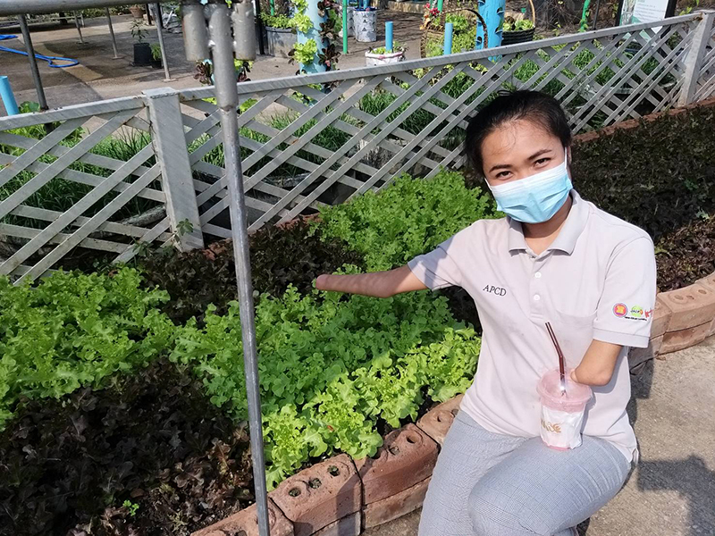 Growing organic vegetables on cement at Pathum Thani Province's Golden Jubilee Museum of Agriculture