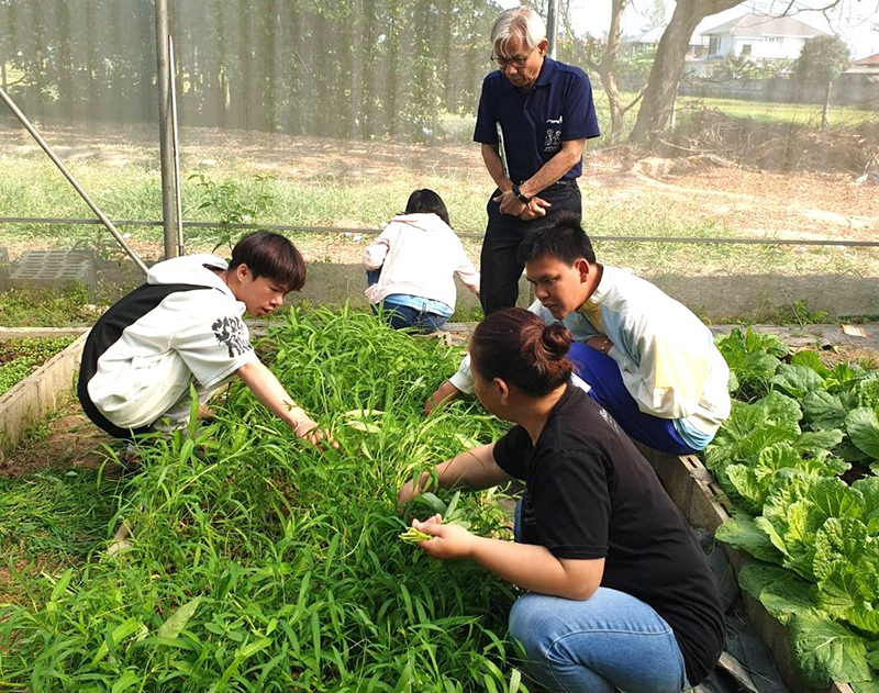 Photo of young persons with developmental disorder and organic vegetable garden.